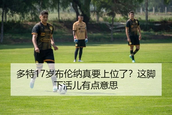 duo-te-sui-bu-lun-na-zhen-yao-shang-wei-le-zhe-jiao-xia-huo-er-you-dian-yi-si-2-288.jpg